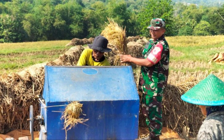Bantu giling padi petani wilayah desa binaan 