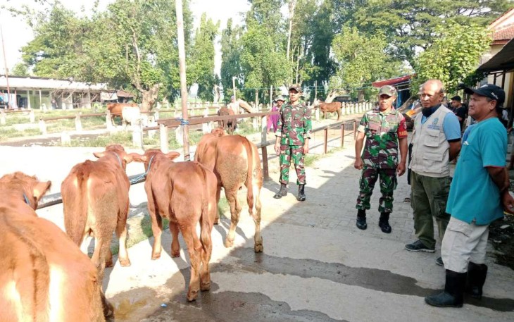 Pengawasan hewan ternak di pasar hewan Ngawi
