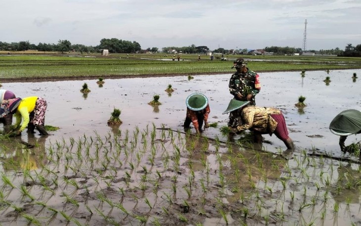 Bantu tanam padi warga binaan 