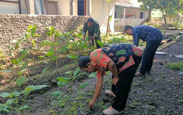 Pembersihan rumput di kebun sayur 