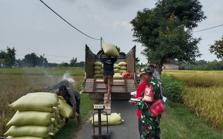Pendampingan pemasaran gabah petani desa binaan 
