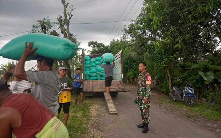 Penyerapan gabah petani desa binaan 