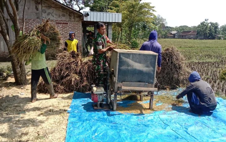 Bantu giling padi petani wilayah desa binaan 