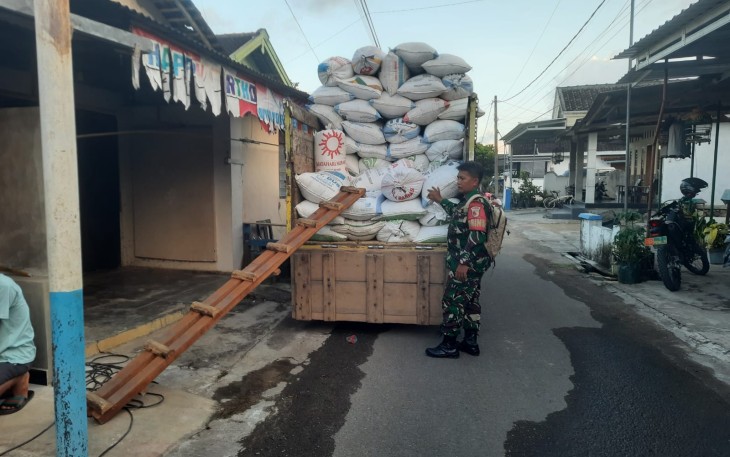 TNI Kawal Serapan Gabah Di wilayah Pacitan Guna Dukung Pemerintah 