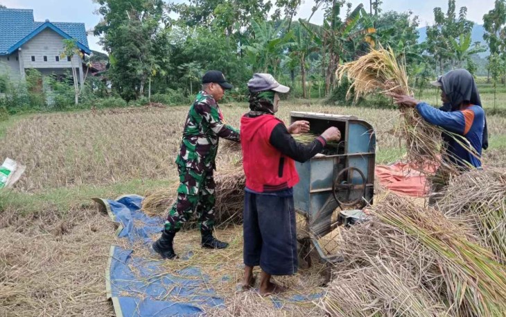 Bantu panen padi warga binaan