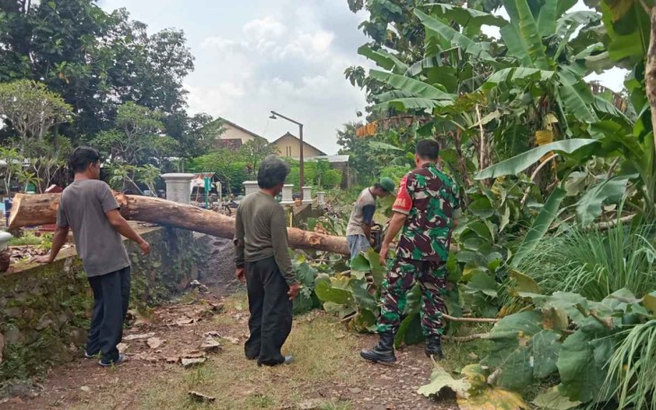 Tebang pohon rawan bencana di wilayah desa binaan 