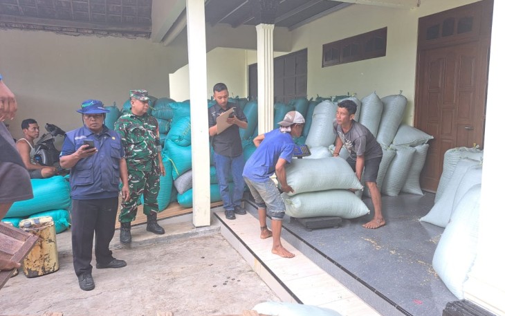 Kegiatan Pendampingan Serapan Gabah Panen Padi oleh Babinsa Desa Betek  