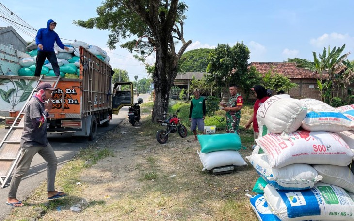 Rutin Pendampingan Sergab Upaya Anggota TNI Kodim Ponorogo Tingkatkan Kesejahteraan Petani