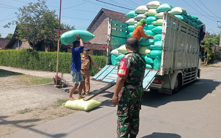 Anggota Koramil 0803-05/Wungu Dampingi Serapan Gabah 10 Ton oleh Bulog