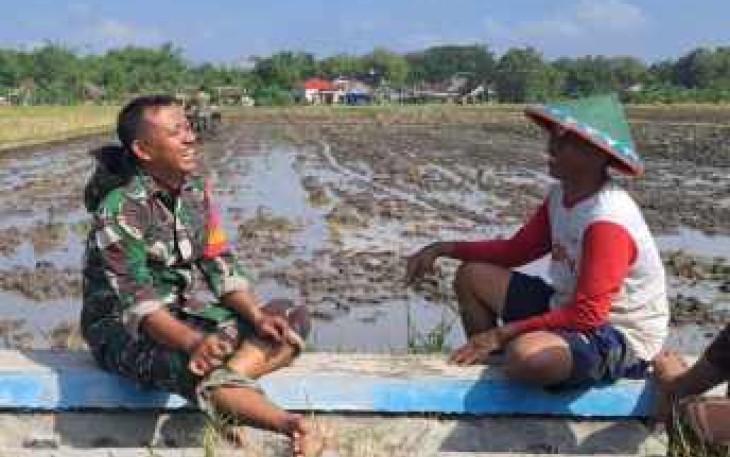 TNI bersama petani wilayah desa binaan 