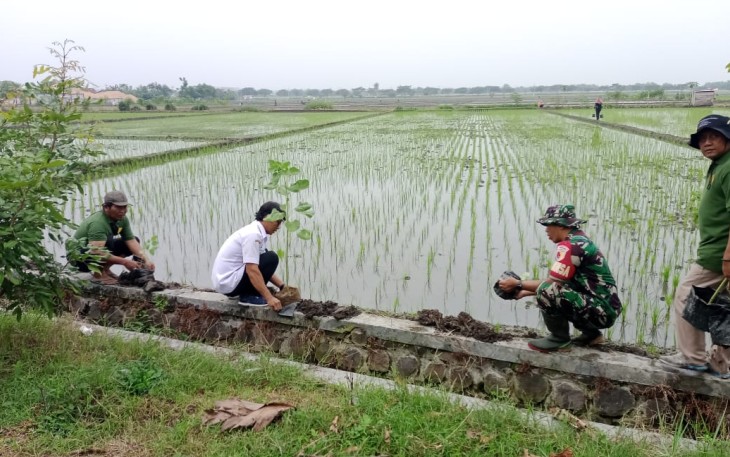 Pendampingan Poktan wilayah desa binaan 