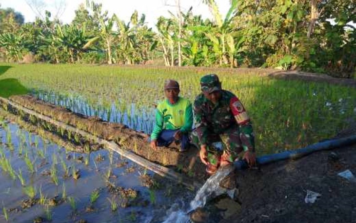 Pompanisasi aliri persawahan petani wilayah binaan 
