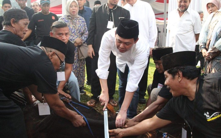 Ketua DPD RI Sultan B Najamuddin saat menyembelih hewan qurban di Jakarta, Sabtu (7/6)