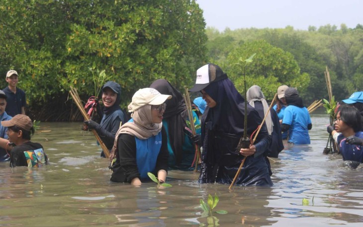 Penanaman Mangrove yang dilakukan oleh mahasiswa UPER bersama dengan Pertamina Foundation