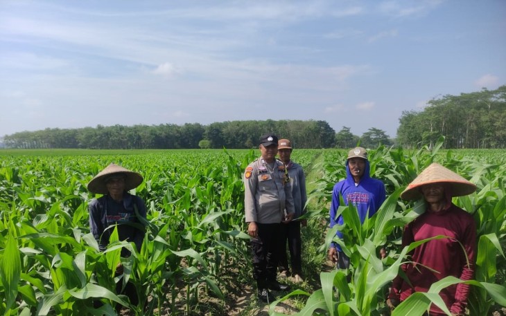 Polsek Belitang III Laksanakan Pengecekan Lahan Dukung Ketahanan Pangan
