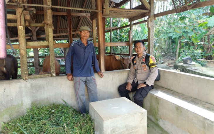 Bhabinkamtibmas Polsek Belitang III Cek Peternakan Sapi Milik Warga Binaan