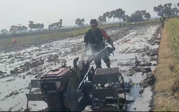 Olah lahan pertanian petani desa binaan 