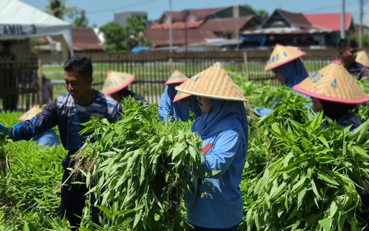 Satlinlamil 3 Panen Perdana Sayuran
