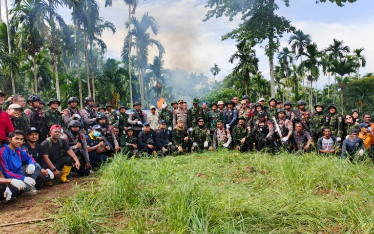 Tim Gabungan Musnahkan 69 Ton Ganja di Aceh Utara