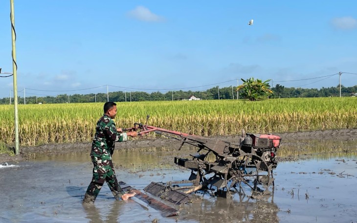 Babinsa Kuwu Bantu Petani Siapkan Lahan Padi