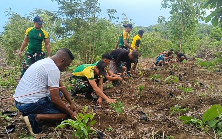 Satgas Pos Salore Tanam 1.000 Pohon Porang Bersama Warga Desa Tulakadi