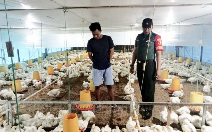 Sambangi peternakan ayam warga desa binaan