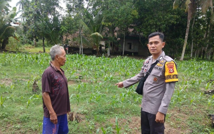 Bhabinkamtibmas Polsek Belitang III Cek Lokasi Hanpangan di Desa Karya Maju, Sabtu siang (06/09/2025) sekira pukul,11.00 WIB.