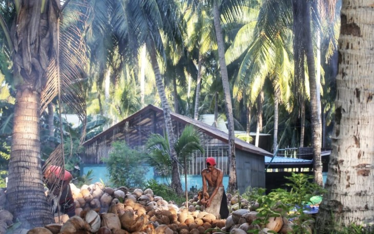 Volume Ekspor Kelapa dan Turunannya dari Kepri Januari-Mei 2025 Meningkat