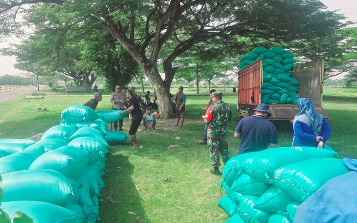 Babinsa Kelurahan Nglames Dampingi Proses Serapan Gabah oleh Bulog