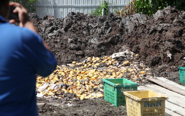 Bea Cukai dan Denpom 1/3 Pekanbaru Gagalkan Penyelundupan 1.400 Keranjang Mangga Thailand Ilegal
