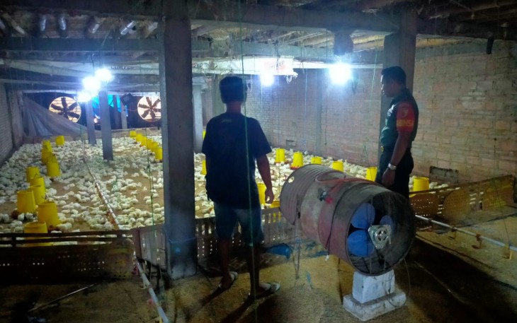 Babinsa Karangjati Sambangi Usaha Peternakan Ayam