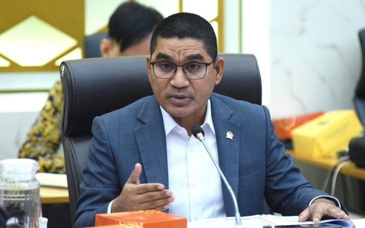 Wakil Ketua Komisi IV DPR Ahmad Yohan