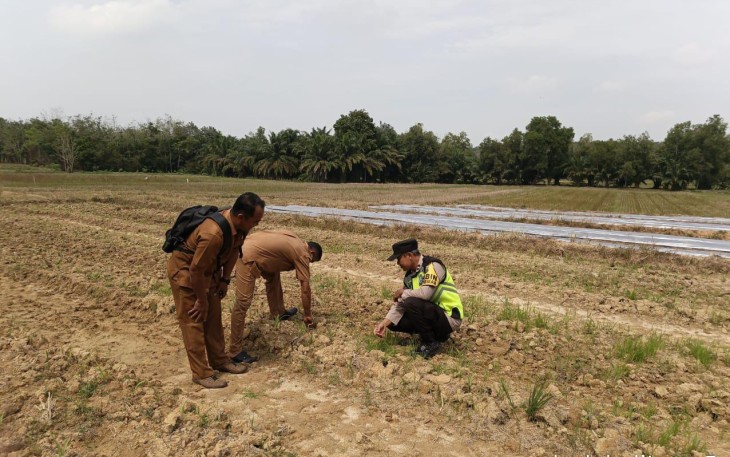 Bhabinkamtibmas Polsek Belitang III Laksanakan Pendampingan
