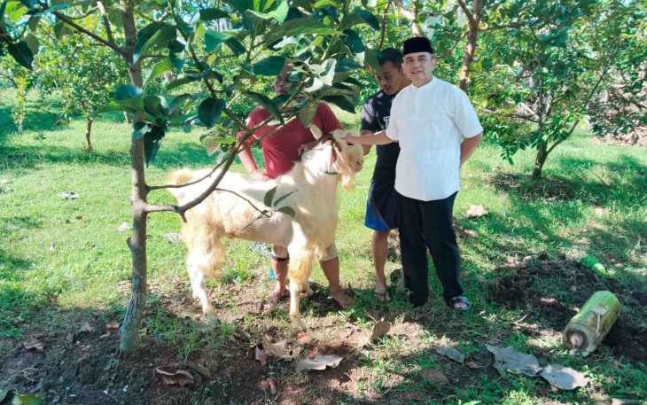 Kodim 0806/Trenggalek Sembelih 8 Kambing Kurban