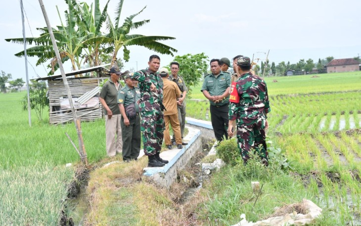 Percepatan LTT,  Dandim Ponorogo Tinjau Sasaran Pembangunan Fasilitas Irigasi Tersier di Beberapa Lokasi 