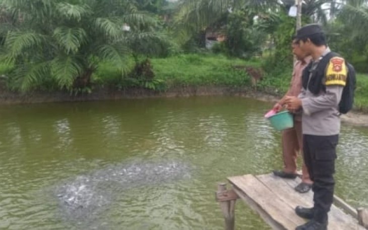 Polsek Belitang III Dukung Ketahanan Pangan Budi Daya Ikan Lele