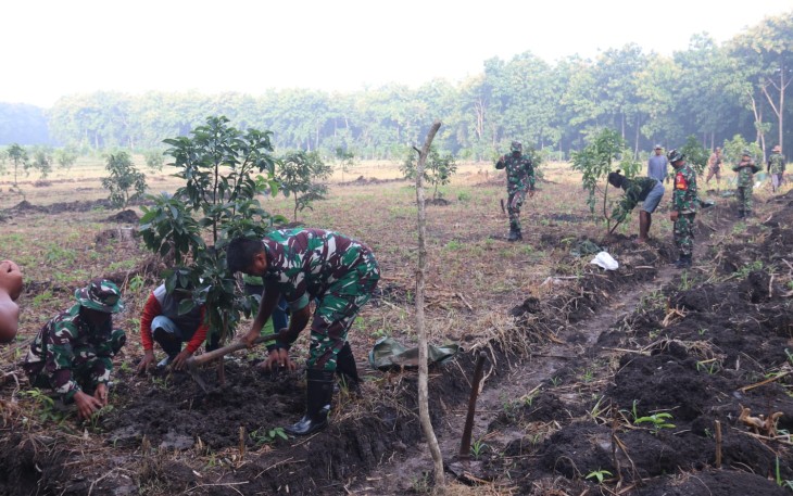 Kodim 0805 Ngawi dan Perhutani Berkolaborasi Kembangkan Sistem Agroforestri