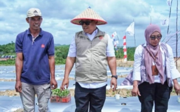 Penanaman Cabai Perdana di Galang Baru