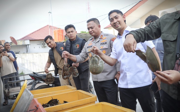 Polres Batu Bara Kembalikan 300 Belangkas ke Habitatnya