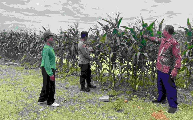 Pendampingan petani wilayah desa binaan 