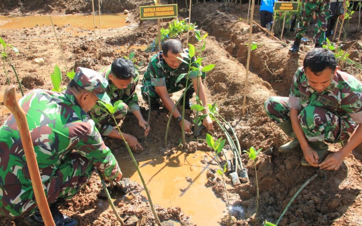 Kodim 0806/Trenggalek dan Pemkab Tanam 1.500 Mangrove di Watulimo Untuk Gegah Abrasi