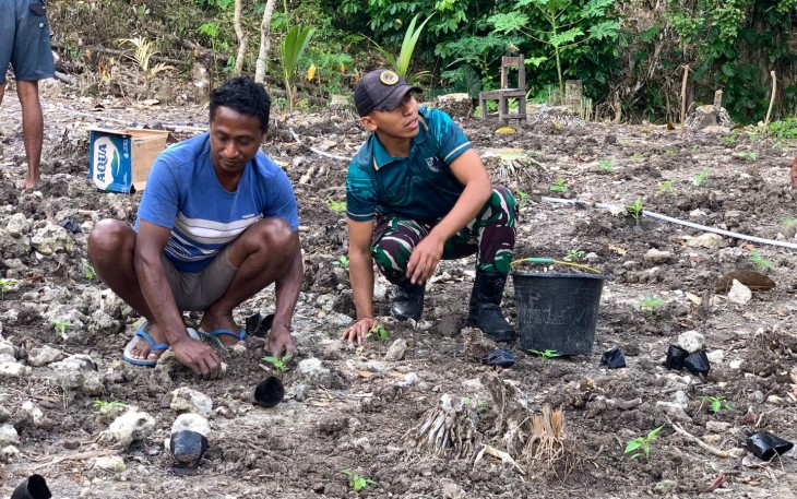 Yonarmed 12 Kostrad Dukung Ketahanan Pangan, Tanam Cabai Bersama Warga Perbatasan