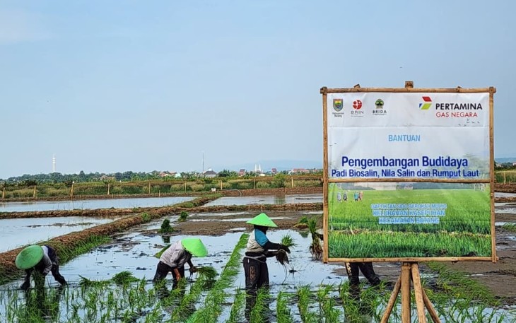 Foto istimewa