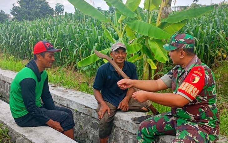Kisah Babinsa yang Hadirkan Solusi Lewat Sapaan Sederhana
