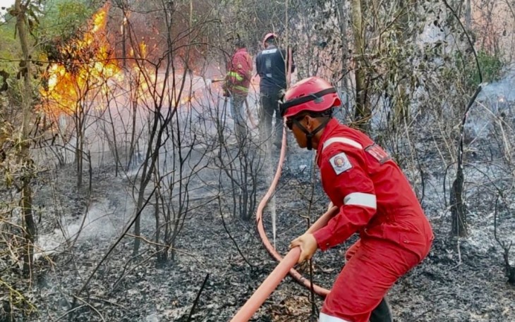Karimun Hadapi Darurat Karhutla
