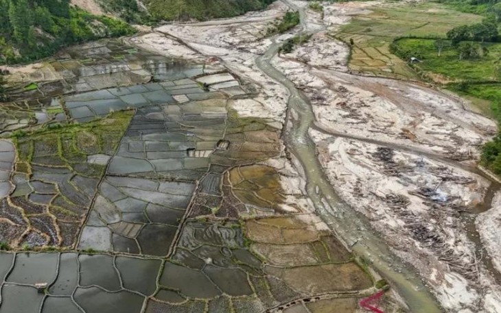Ribuan Hektare Sawah Terdampak Bencana Mulai Ditanami Kembali 