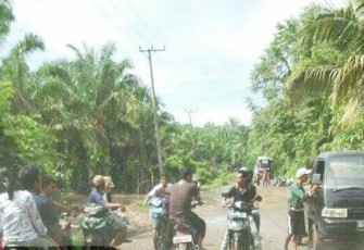 Kondisi jalan lintas barat Bengkulu, tepatnya di perbatasan Desa Serangai-Desa Selolong, Kabupaten Bengkulu Utara