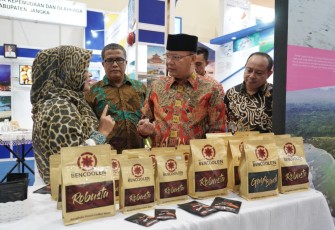 Kopi Bengkulu