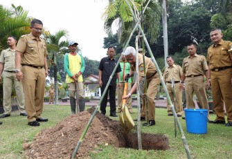 Plt Bupati Asahan Tanam Pohon di Sekitar Halaman Kantor