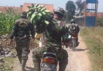 Satgas TMMD Tegal saat membawa hasil panen yang diberikan oleh warga sekitar